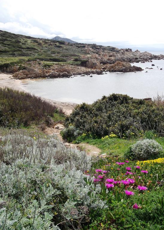 Villetta Cenni Santa Teresa Gallura Eksteriør bilde