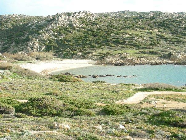 Villetta Cenni Santa Teresa Gallura Eksteriør bilde
